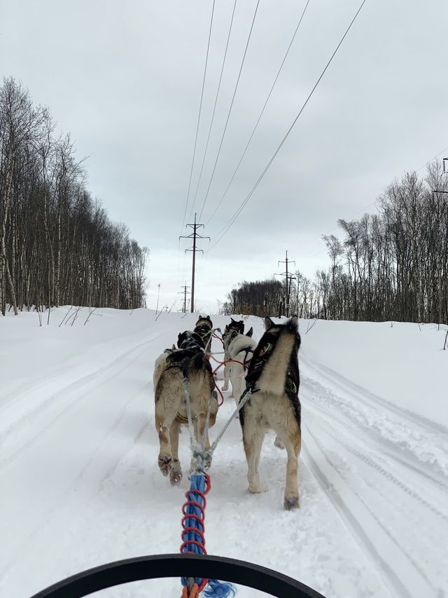 ตะลุยสุดขอบโลก! สัมผัส Arctic ที่ Murmansk Russia