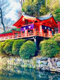 【東京都/根津神社】幅広い方々から人気の神社