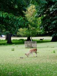 Dream come true at Oxford University