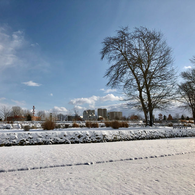 Winter Serenity at Miyamae Park