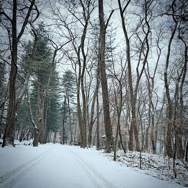 雪白的南怡島