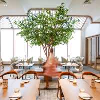  Canton Paradise ร้านดังเปิดใหม่ในไทย