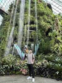 「濱海灣花園」：新加坡之旅必訪，花園之最！