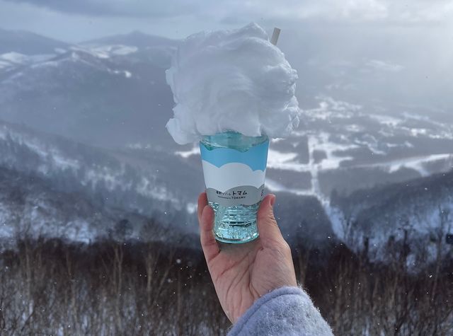 睡在雲海上的北海道星野TOMAMU度假村