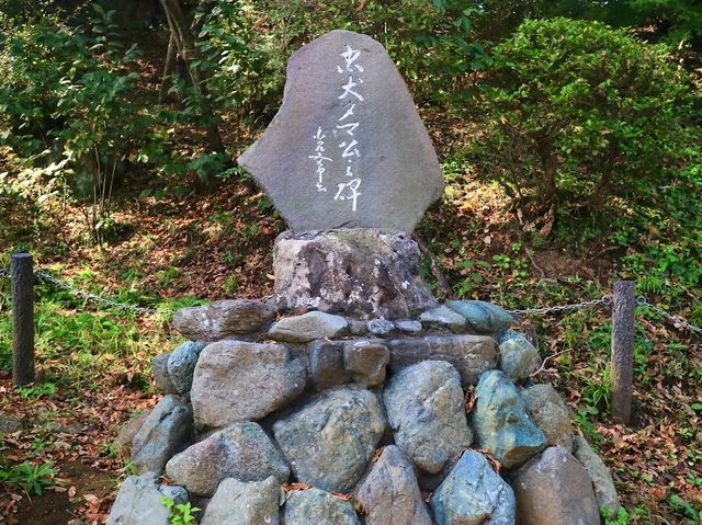 Kinugasa Yama Park