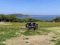 Nokonoshima Island Park