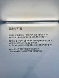 요즘핫한 홍대 4233마음센터🩷