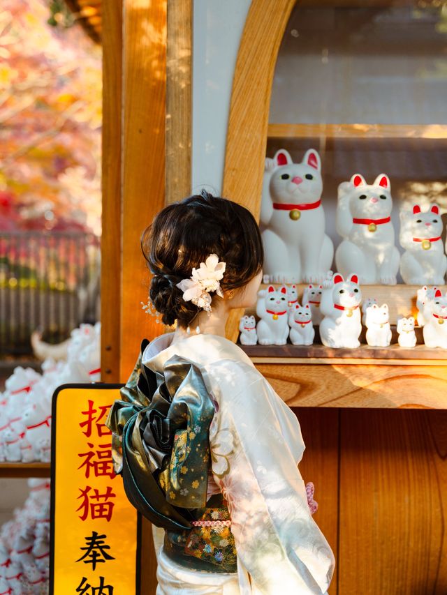 東京近郊 | 滿佈照財貓的豪德寺