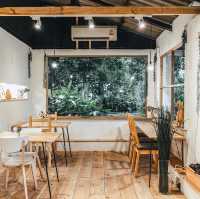 Raku cafe ร้านอาหารญีปุ่น สันกำแพง เชียงใหม่