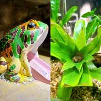 Entopia Butterfly Farm for Nature Lovers