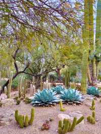  การเดินทางผจญภัยในสวรรค์ของธรรมชาติ🌵