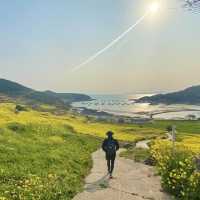 진정 위대한 생각은 걷기로부터 나온다 - 청산도 봄여행