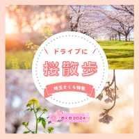 ドライブにおすすめ！埼玉桜散歩🚗🌸