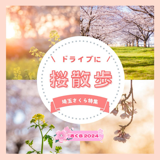 ドライブにおすすめ！埼玉桜散歩🚗🌸