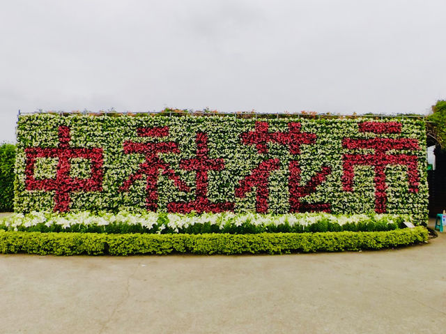 Zhongshe flower market 