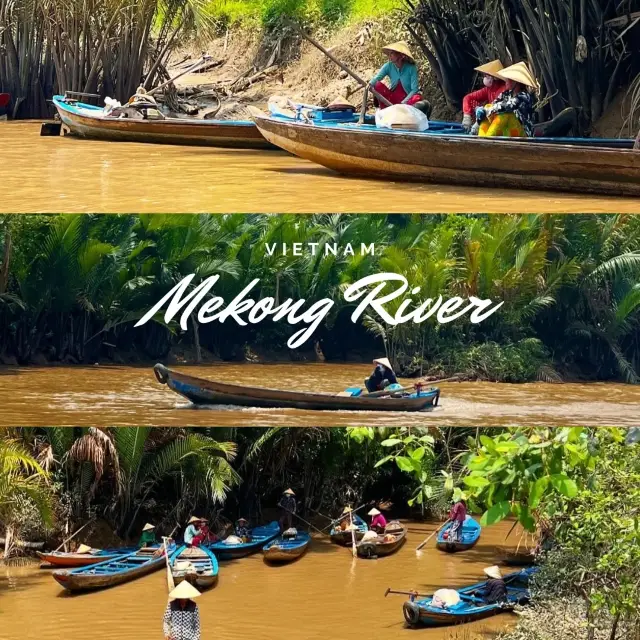 Embark on a Mekong Marvel Tour🛶