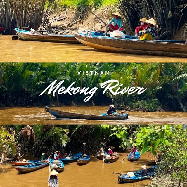 Embark on a Mekong Marvel Tour🛶