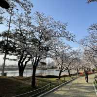 金海　蓮池公園