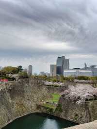 大阪城公園～必去免費賞櫻地點🌸