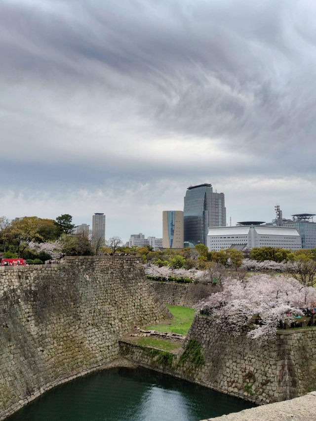 大阪城公園～必去免費賞櫻地點🌸