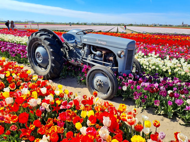 The Tulip Barn