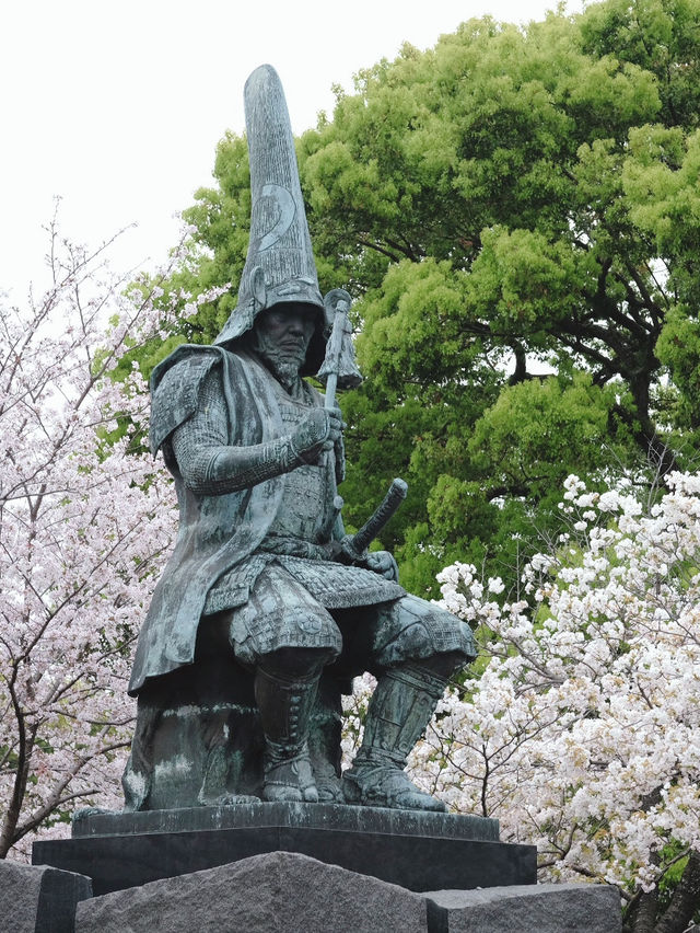 Kumamoto Castle จุดชมชากุระสวยๆ บานสะพรั่ง