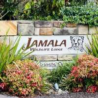 Amazing stay at Jamala Wildlife Lodge