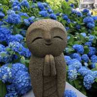 紫陽花に囲まれる幻想的な青の世界へ行ってみよう！