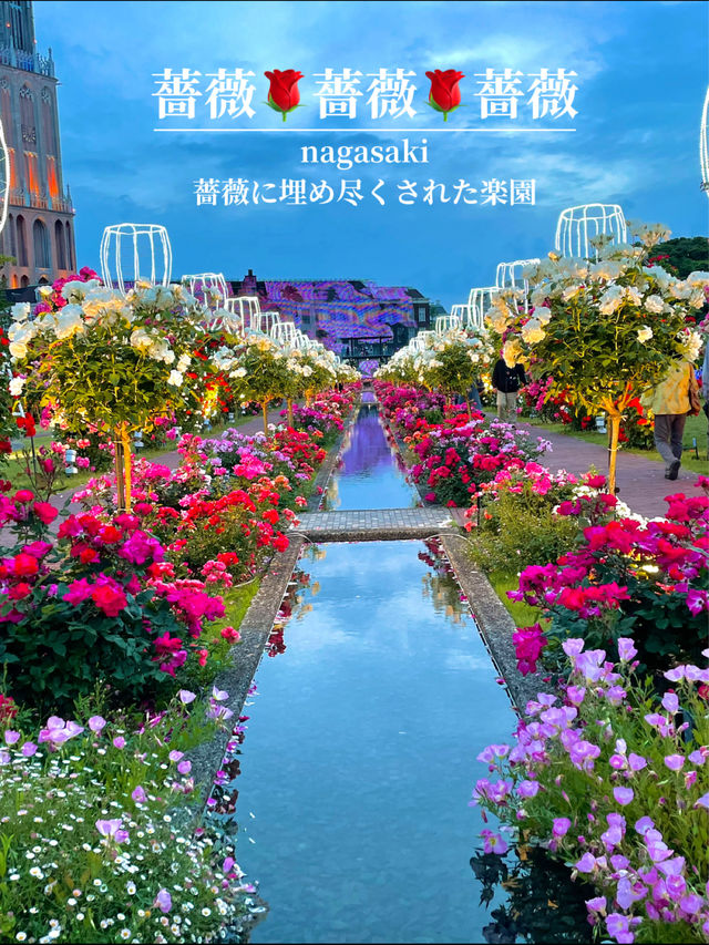 【長崎】薔薇🌹薔薇🌹薔薇 薔薇に埋め尽くされた楽園 ハウステンボス