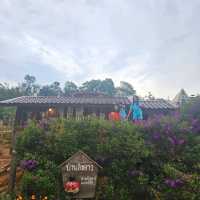 ไฮตาก หมู่บ้านที่น่าไปพัก อ.ภูเรือ จ.เลย