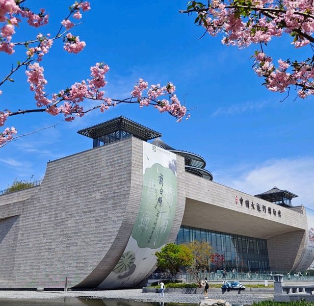櫻花三月下揚州，粉櫻綠柳美人間「中國大運河博物館」