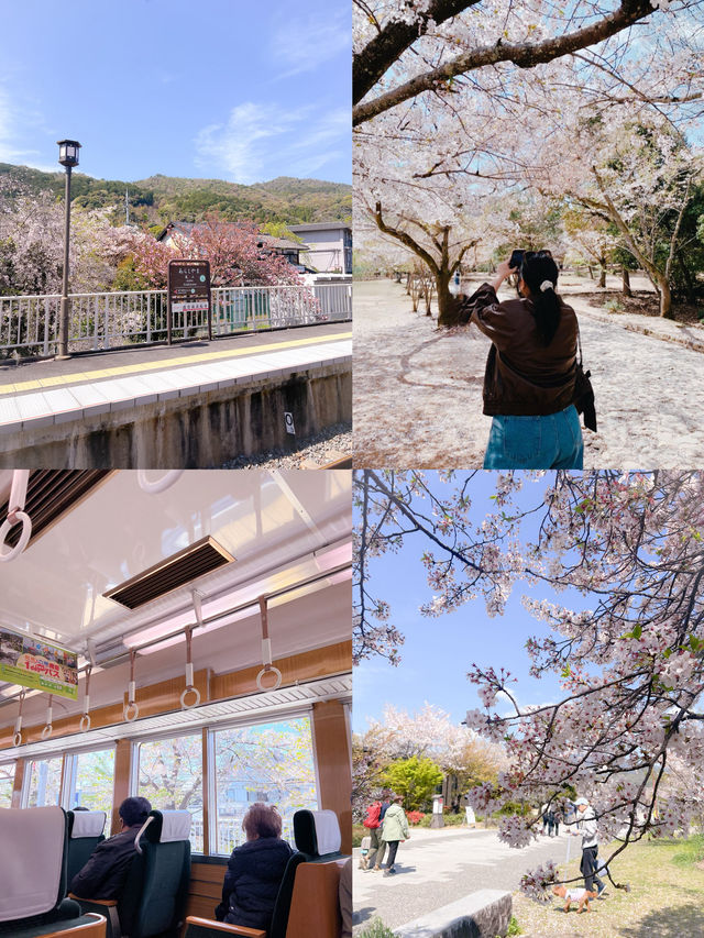 Arashiyama Kyoto🩷เดินเล่นที่อาราชิยาม่า