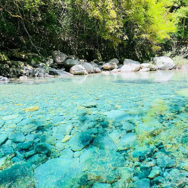 山中溪：清澈溪水與蒼翠山林的夢幻仙境，享受自然恬靜之美
