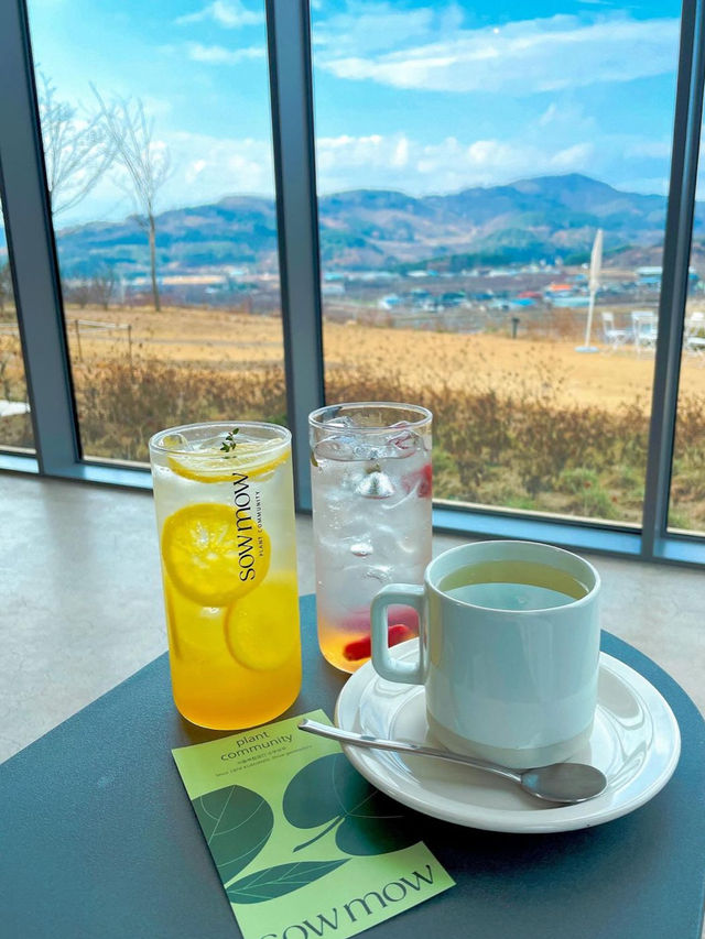 🌿청도 소우모우 카페💚 