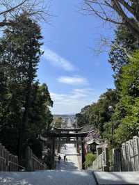 【福岡神社】日本一の大縄のある神社⛩光の道も有名なところです✨