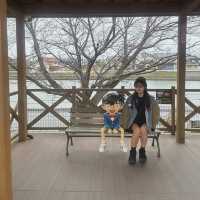 【鳥取】名探偵コナンの街に行ってきた！