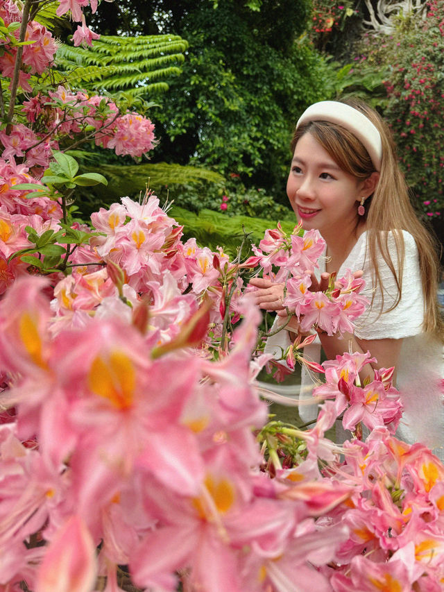 新加坡巨型溫室花園！400,000棵特色植物打卡！