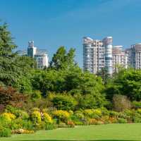 「寶月公園」：自然美景，春天好去處