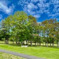 Kanayamako Forest Park: Nature's Paradise
