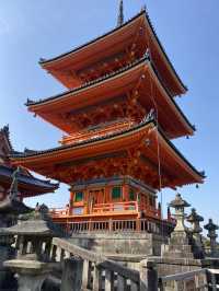 【京都】早朝の清水寺
