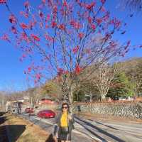 Slow life ที่ Nikko , Japan