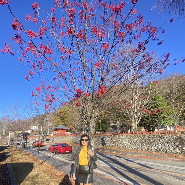 Slow life ที่ Nikko , Japan