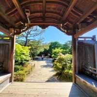 夏旅は京都へ行こう💠平安神宮東神苑で日本建築美を体感