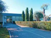 Visit Marc Chagall National Museum 