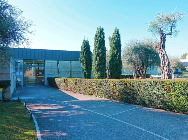 Visit Marc Chagall National Museum 