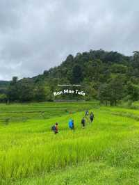 ฤดูฝนที่บ้านแม่ตะละ | เชียงใหม่ ⛰️🌧️🌾🌳