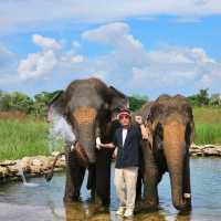 แจกพิกัด คาเฟ่ที่มีน้องช้าง สันกำแพง เชียงใหม่