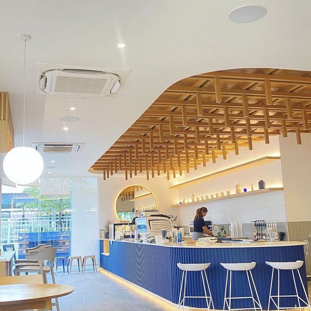 Curious cafe 