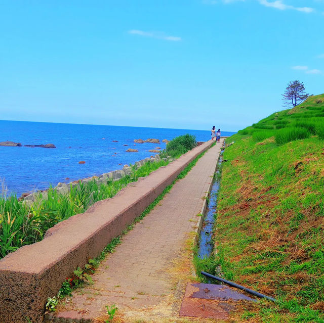 【絶景】世界農業遺産！白米千枚田