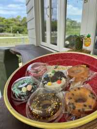 【福岡カフェ】カラフルなグルテンフリードーナツが可愛い🌈🍩